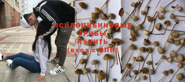 дурь Алексеевка