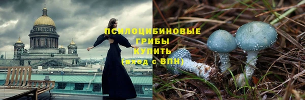 дурь Алексеевка