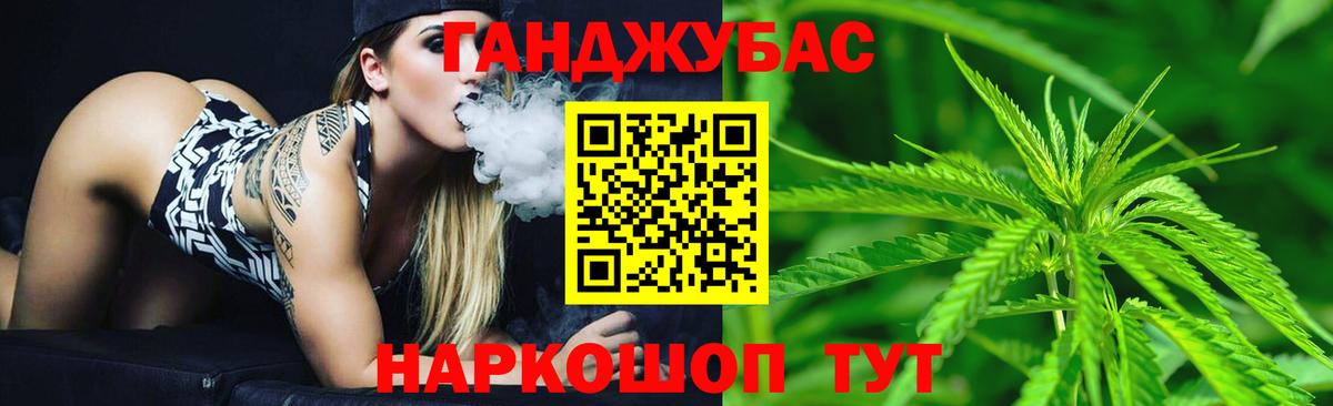 Бошки Шишки план Краснознаменск